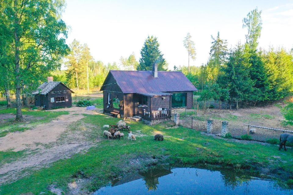 Private Farm Jakuzzi Sauna In The Forest Talsi Exteriér fotografie