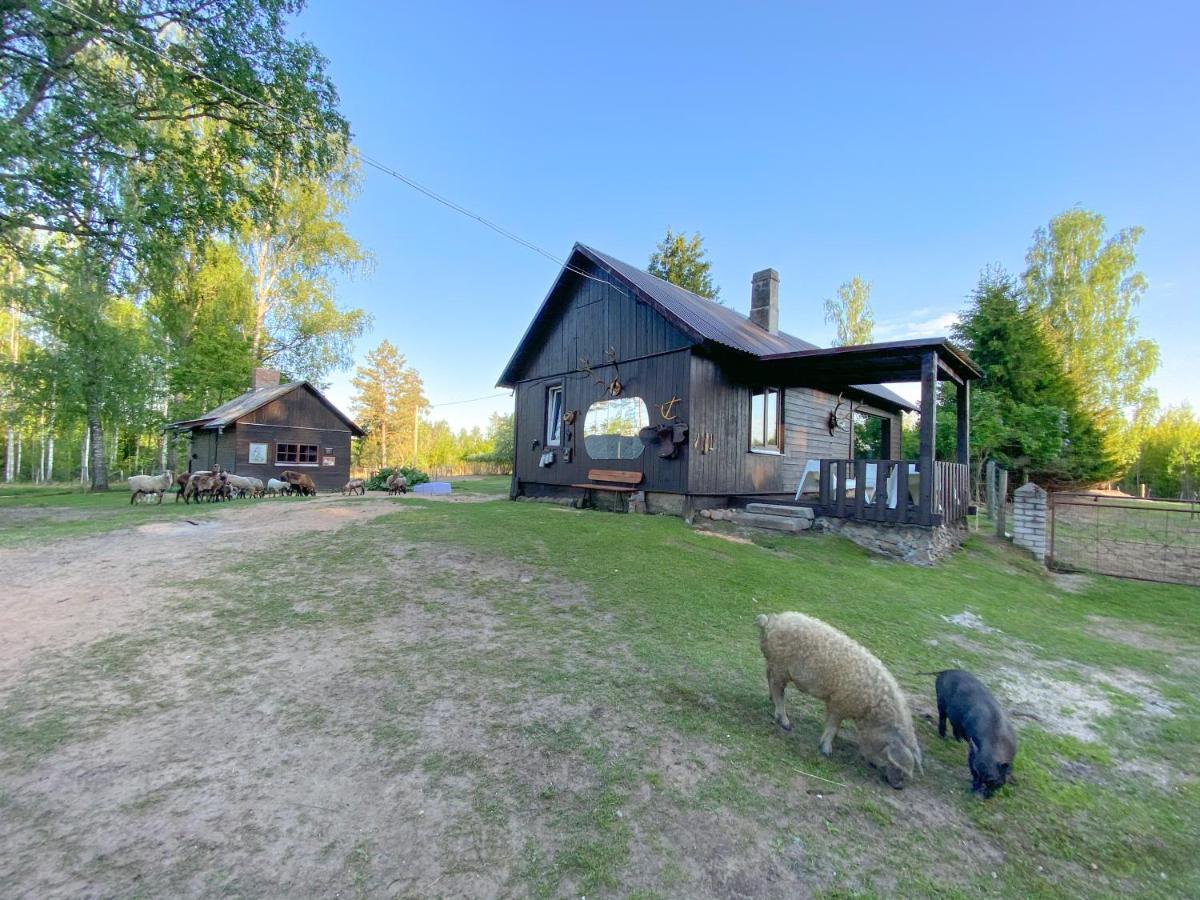 Private Farm Jakuzzi Sauna In The Forest Talsi Exteriér fotografie