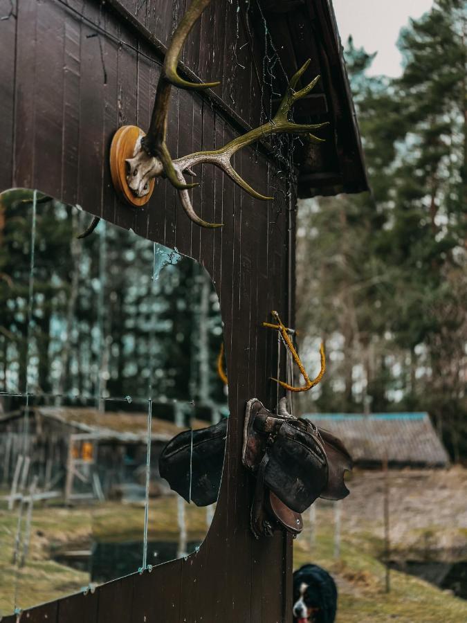 Private Farm Jakuzzi Sauna In The Forest Talsi Exteriér fotografie